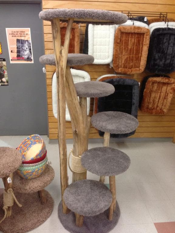 Terracotta carpeted natural wood cat tree