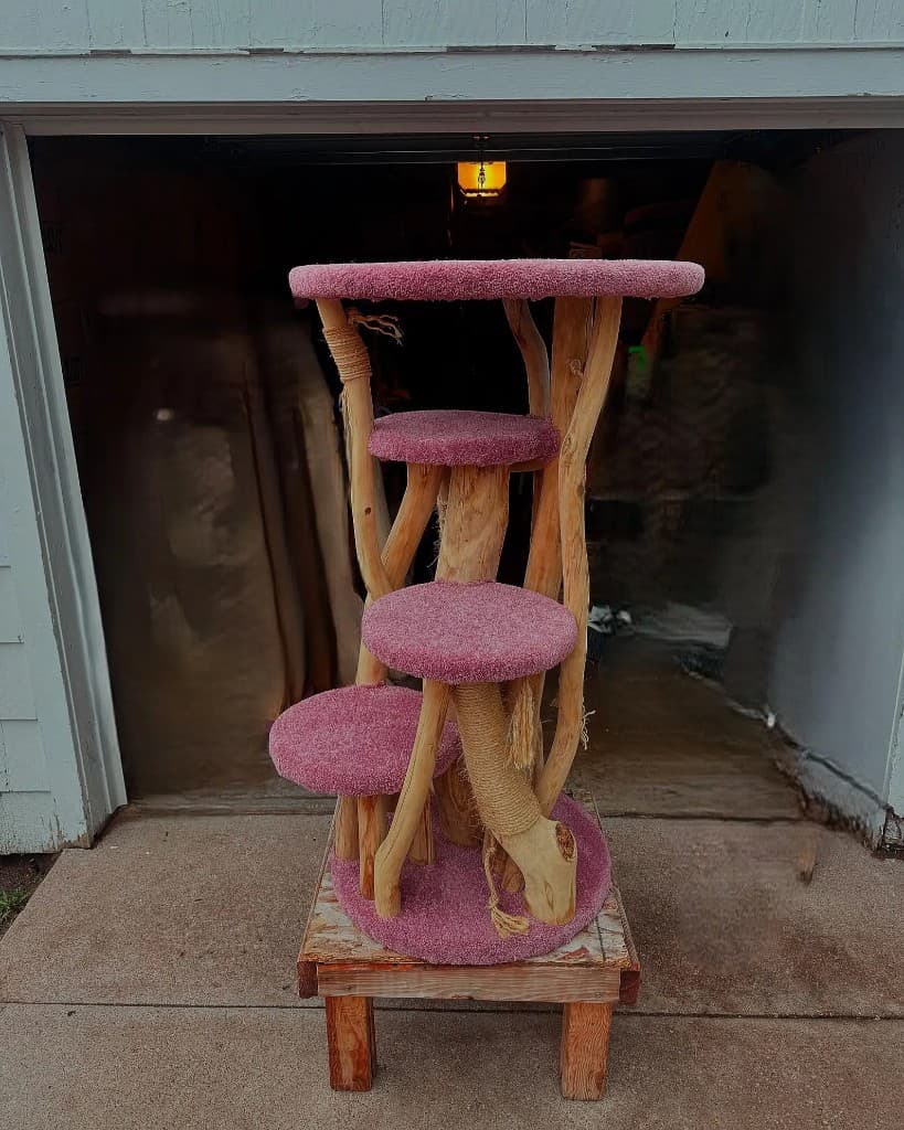 Blue carpeted cat tree with kitten